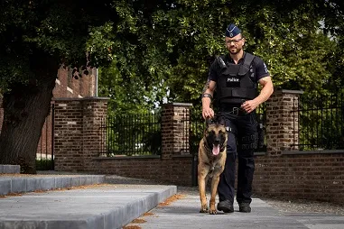 K9 low