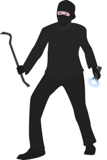 voleur