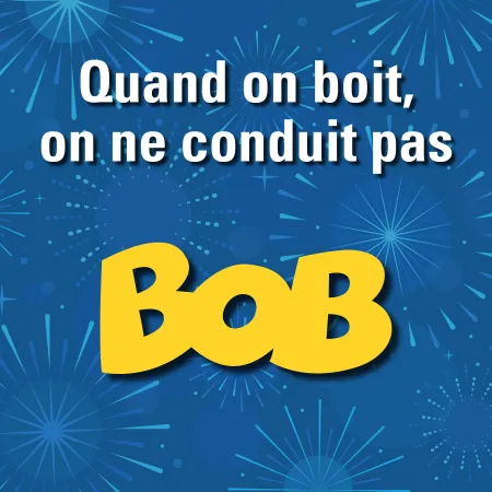 affiche campagne bob