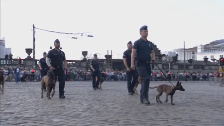 Notre future équipe canine (copyright VRT)