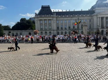 Défilé du 21 juillet 2026 équipes canines