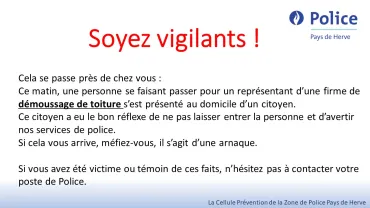 démoussage