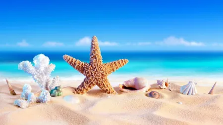 summer