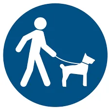 Chien