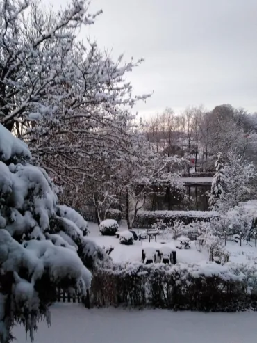 neige