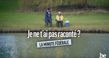Minute fédérale