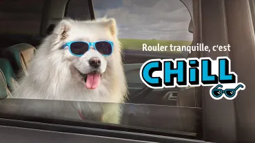 Campagne AWSR chill