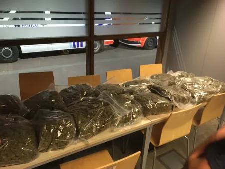 marijuana