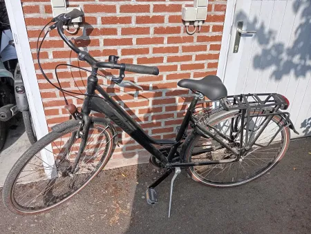 Vélo 213