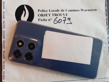 Fiche 6079