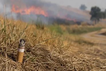 Danger incendie mégots