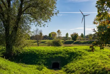 cellule environnement