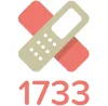1733