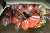 Contrefaçons peluches
