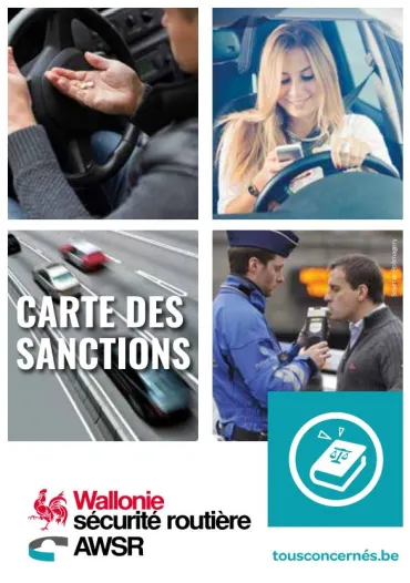 Carte des sanctions