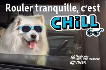 Photo campagne avril 2019 avec chien à lunette