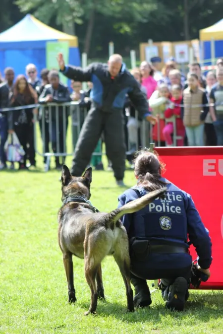 Simulatie interventie met hondenbrigade. Agente met hond aan zij confronteert een dader