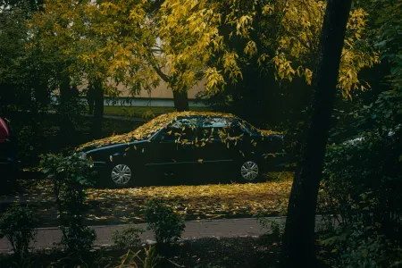 herfst