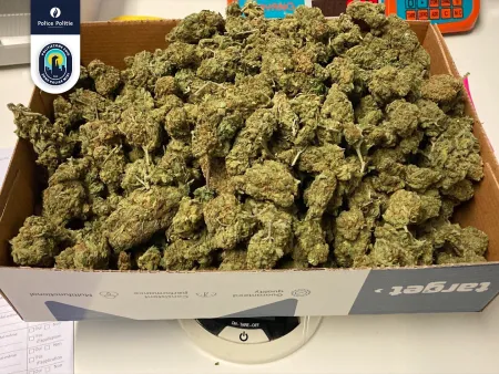 huiszoekingen leveren 14kg drugs en hoeveelheid cash geld op