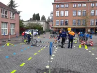 Balades guidées à vélo