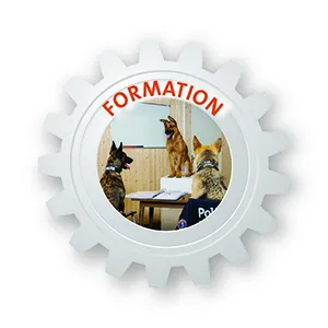DACH - Formation