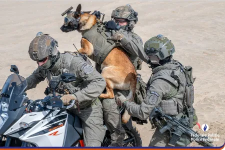 Chien de police
