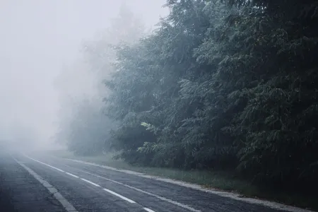 Le brouillard : adapter sa vitesse et être visible