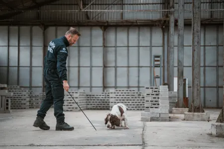 Une collaboration avec l’Université de Liège (ULiège) pour faciliter la formation des chiens pisteurs « restes humains »