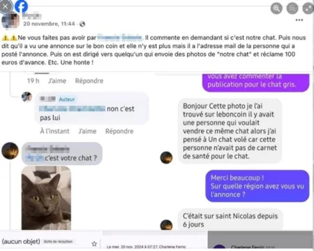 Arnaque animaux