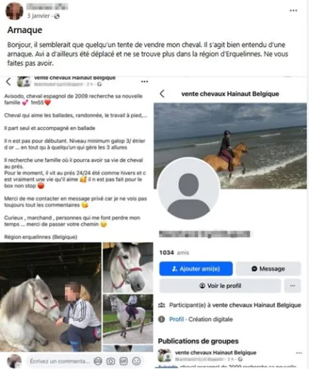 Arnaque animaux