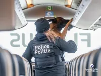 action de contrôle