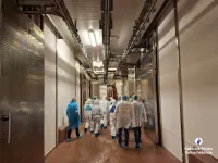 Action internationale contre le crime organisé dans le secteur de la viande 