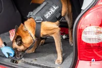 Coopération internationale - Opération policière et douanière d’envergure dans la région frontalière entre la Belgique, l’Allemagne et les Pays-Bas