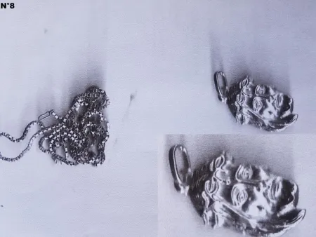 Eigenaars van teruggevonden gestolen juwelen gezocht