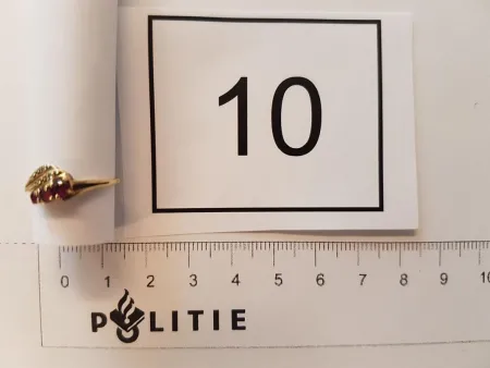 Recherche de propriétaires des bijoux volés