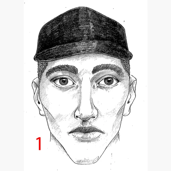 Home invasion à Schaerbeek