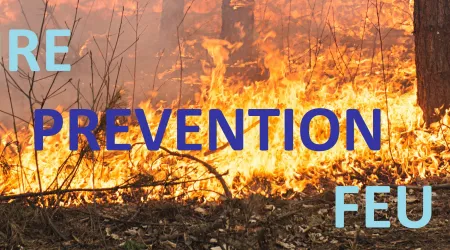 FOREST FIRE - PREVENTION _ FEU DE FORET