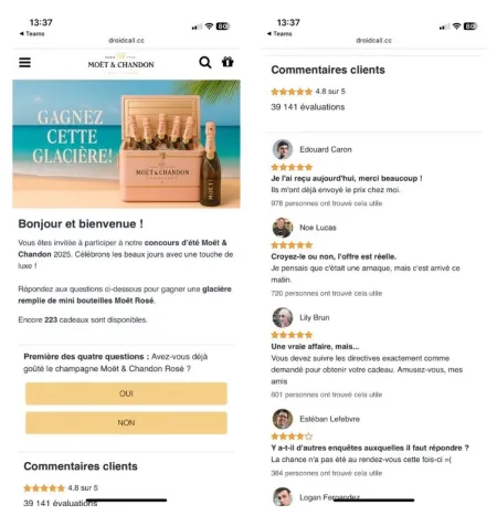 example of fake contest 2