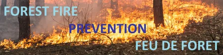 FOREST FIRE - PREVENTION _ FEU DE FORET