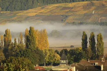 paysage d'automne